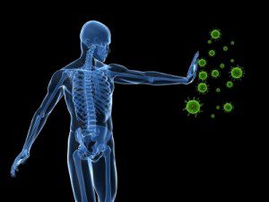 Ten Tips to Maintain a Strong Immune System – 5/1/12