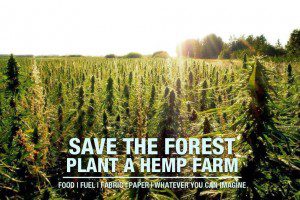 save-forest-plant-hemp-farm