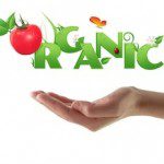 6 Important Health Benefits of Eating Organic Food