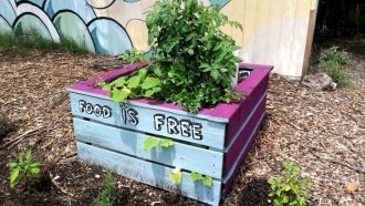 DIY $2 Self-Watering Garden Bed