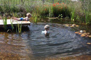 The Most Natural Organic Pool You Can Build Yourself