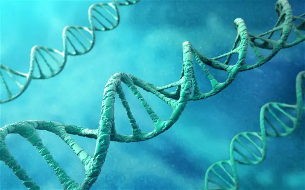 Junk DNA - Our Interdimensional Doorway to Transformation