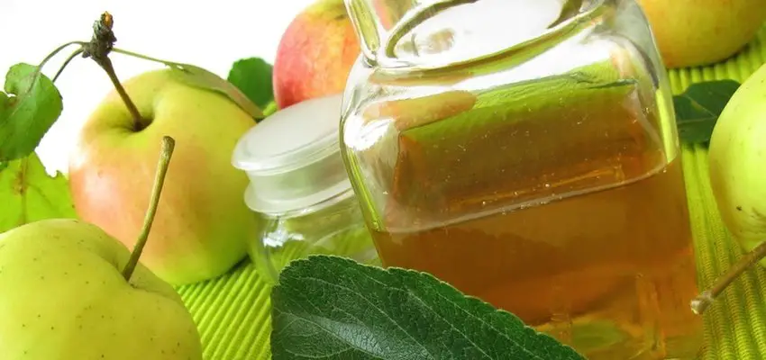 8 Reasons Apple Cider Vinegar Is One Of The Most Powerful Health Tonics In Your Kitchen