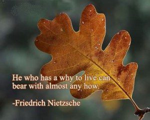 A Sense of Purpose Means a Longer Life - Friedrich Nietzsche
