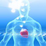 The Heart Consciousness – a Neurological Perspective