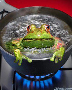 Frog boiling