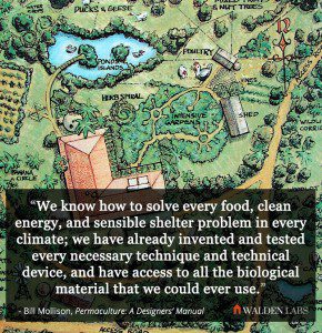 Permaculture - Bill Mollison quote