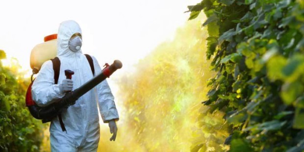 All-Natural Pesticide Unveiled by Scientists – and It Won’t Kill the Bees!