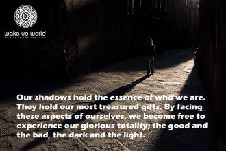 INNER ACTIVISM - Ensuring “We” Don’t Become “Them” - the shadow within 1