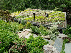 Rooftop Gardening - The World Is Finally Growing Up - Mill Valley Cabins CA rooftop gardens