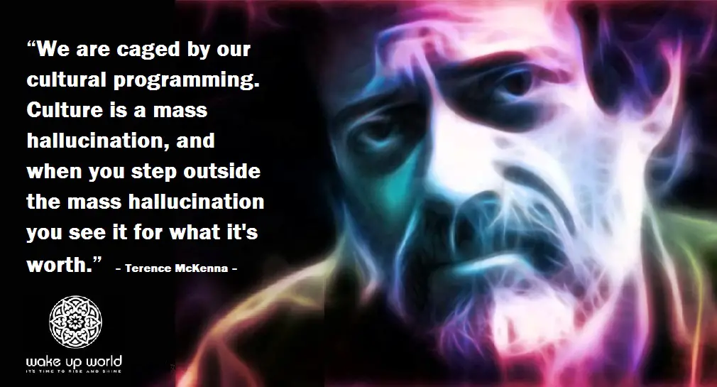 what-is-awakening-terence-mckenna-caged-by-cultural-programming
