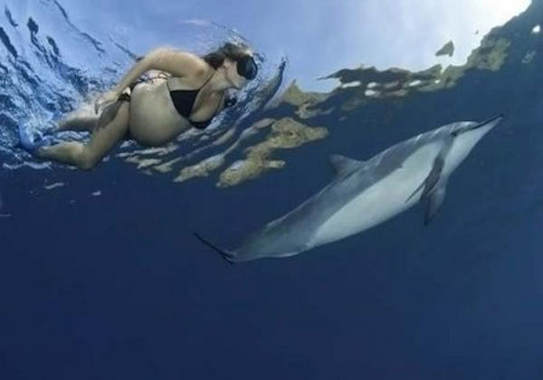 Dolphin Midwives Underwater Birthing