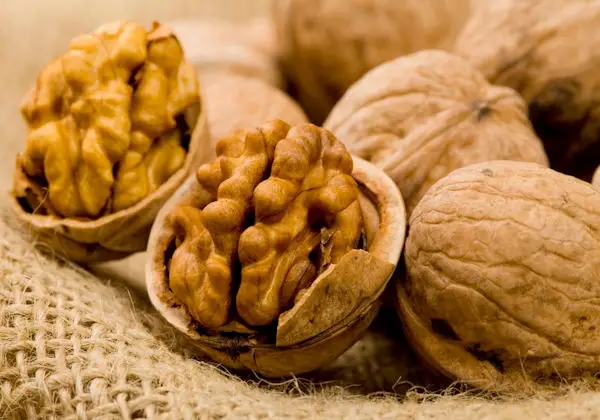 Walnut and the Doctrine of Signatures