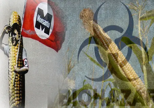 Monsanto’s Blatant Corruption and Disregard for Health