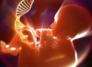 fetus-DNA