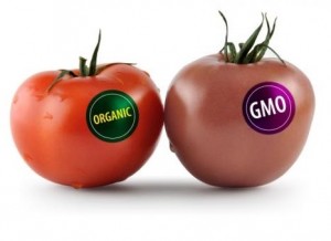 organic-gmo