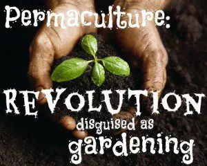 permaculture-revolution