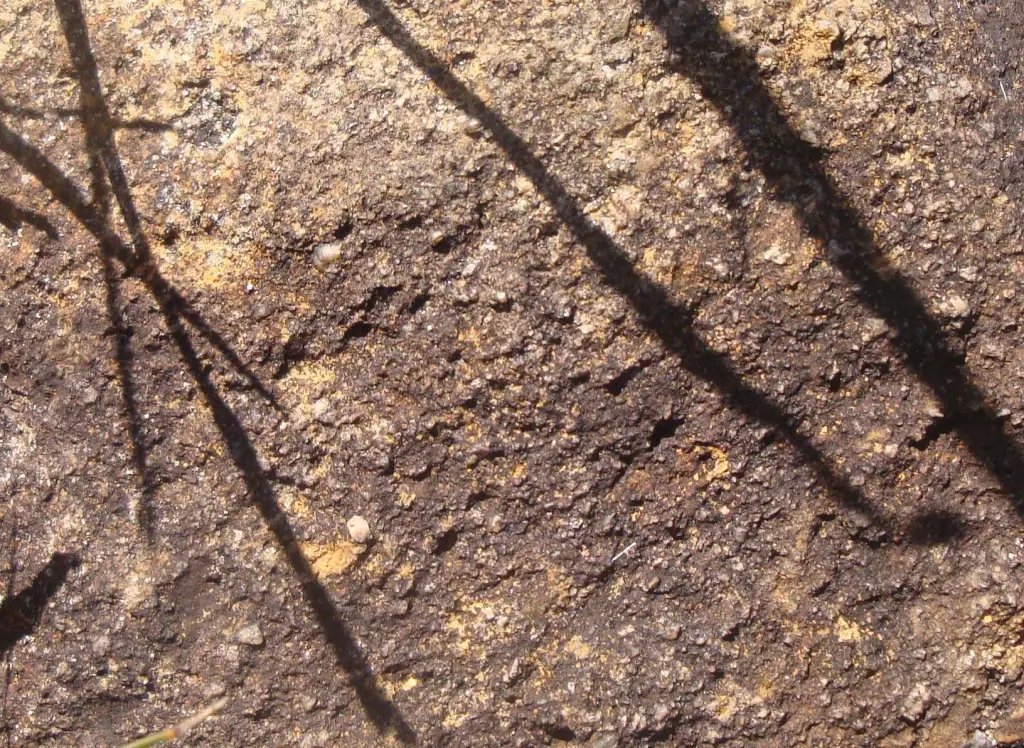 Figure 12 (Coarse grain sandstone rock)