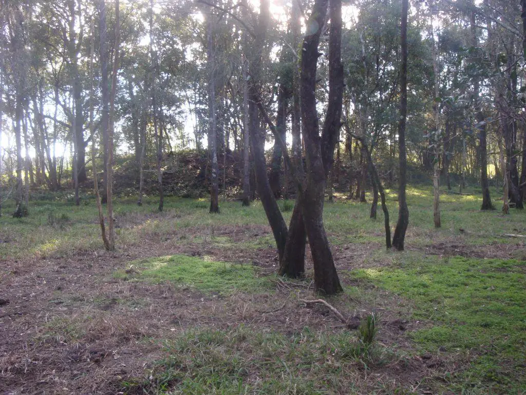 Figure 2 (Smaller mound - burial site)