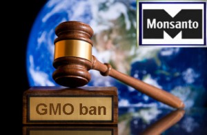 Russia GMO Ban