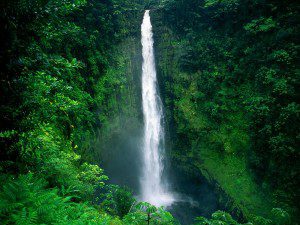 Akaka Falls - Big Island - Hawaii