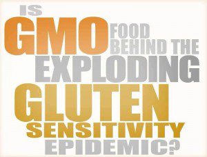 GMO-and-Gluten-Sensitivity