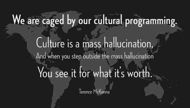 Terence McKenna quote - caged by our cultural programming