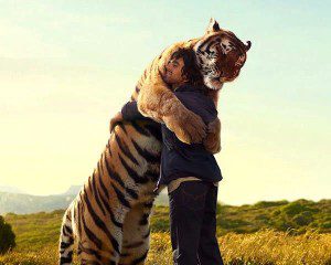 Tiger Hugs Man