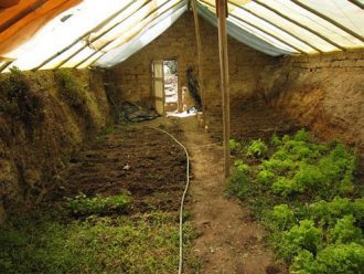 underground_greenhouse