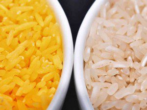 GMO Golden Rice - Activists Speak Out