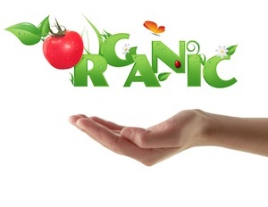 health-benefits-organic-food