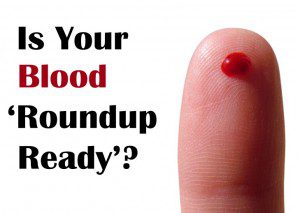 roundup_ready_blood_gmos