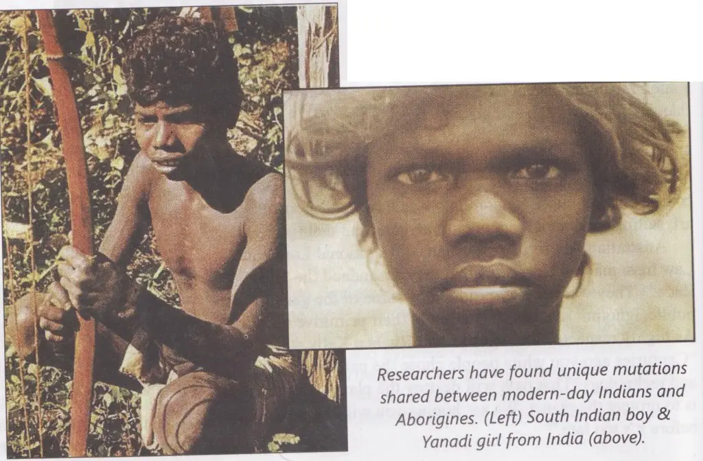 Aboriginal and Indian genetic link