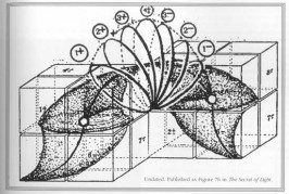 What is Chi? Exploring Our Eternal Reality | Wake Up World