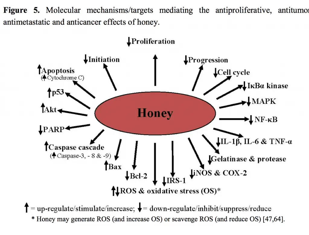 Honey_study