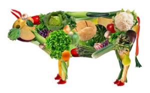 Is vegetarianism right for you