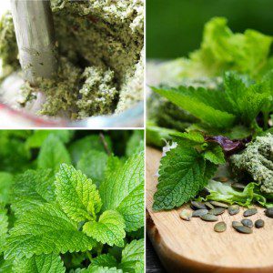 The benefits of Lemon Balm - a must in any garden
