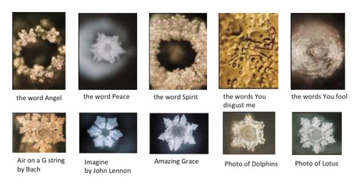 Word Vibrations and their Effect on Water
