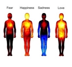 Printable Emotions In The Body Map