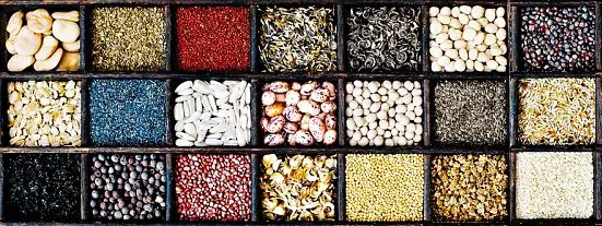 tips on storing seeds for the long term