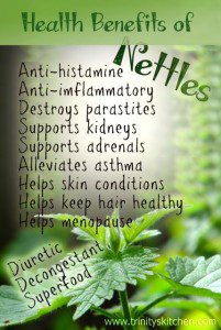 Health Benefits of Nettles