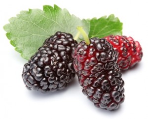 Mulberry Tames Cancer, Inflammation, Alzheimer's and More