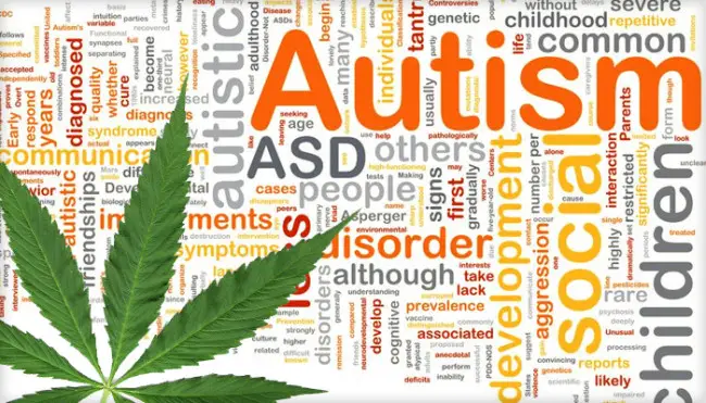 Study Shows The Therapeutic Effects of Marijuana on Autistic Children