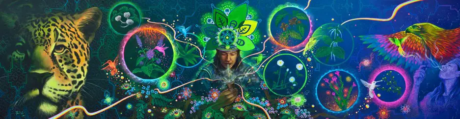 Letters From the Far Side of Reality - Ayahuasca