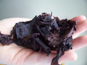 10 Amazing Superfoods - Harnessing Nature's Healing Potential - Dulse