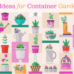 50 Ideas for Container Gardens