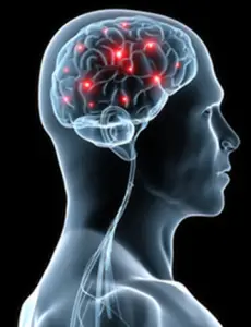 Is Your Brain Firing As It Should? - Neurotransmitters