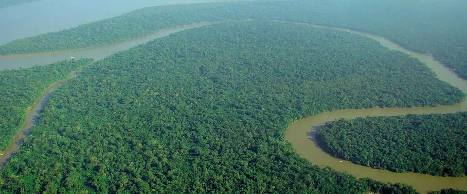 Precious Metals vs. Precious Life - Destruction of the Amazon