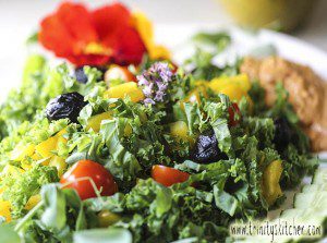 Summer Kale Salad with Hemp and Parsley Dressing