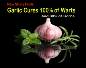Garlic Cures 100% of Warts In Clinical Study